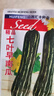 種花迷花皮七葉早熟南瓜種子嫩瓜脆甜老瓜香糯甜密吊瓜種籽高產(chǎn)蔬菜種孑 花皮七葉南瓜原裝 曬單實(shí)拍圖