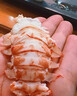 森農樂(lè )舟山琵琶蝦鮮活特大生鮮冷凍九齒扇蝦姑新鮮瀨尿蝦深海海鮮爬蝦 2000g(凈重)  14-18cm（4-5只/斤） 曬單實(shí)拍圖
