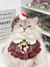 阿莫爾貓咪衣服千金風(fēng)套裝可愛(ài)披肩貓咪圍脖Kitty帽子中小型狗狗口水巾 【均碼】紅格子帽子 S【5斤以?xún)取?曬單實(shí)拍圖