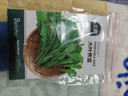 北蔬薺菜種子苗大葉老品種野外冬季蔬菜種籽 大葉薺菜種子2000粒x2包 曬單實(shí)拍圖