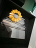 Jay向日葵胸針女雛菊胸花飾品送媽媽婆婆長(cháng)輩生日禮物 曬單實(shí)拍圖