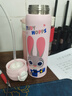 迪士尼（Disney）朱迪雙飲保溫杯瘋狂動(dòng)物城316不銹鋼帶吸管上學(xué)女孩生日禮物500ml 曬單實(shí)拍圖