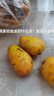 海南小臺農芒果新鮮現摘小臺芒應當季熱帶水果特產(chǎn)芒果【活動(dòng)】 單果80g+（帶箱子3斤凈重2.6斤） 曬單實(shí)拍圖
