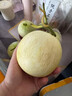 山東小蜜蜂甜瓜老品種暴甜香瓜應季現摘孕婦水果蜜瓜 帶箱1斤 榨汁碰傷次果【非商品果】 爆甜皮薄老品種小蜜蜂 曬單實(shí)拍圖
