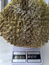 京地達泰國金枕頭榴蓮 7-8斤（1-2個(gè)）整果液氮鎖鮮水果源頭直發(fā)包郵 曬單實(shí)拍圖