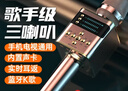 山水（SANSUI）F2 K歌麥克風(fēng)音響一體自帶聲卡話(huà)筒 無(wú)線(xiàn)麥克風(fēng) 小蜜蜂擴音器 錄歌直播電視手機藍牙K歌神器 曬單實(shí)拍圖