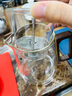 DEATKN德國飄逸杯茶水分離泡茶壺高硼硅全玻璃內膽一鍵分離飄逸壺家用 【蒸煮內膽】透明元茗飄逸杯 750ml 加厚高硼硅+胡桃木 曬單實(shí)拍圖