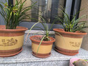 花盆家用陶瓷蘭花盆景紫砂粗陶花盆大號盆景陶土綠植花盆 口徑【40】1個(gè)盆 陶瓷 曬單實(shí)拍圖