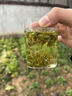 漢山2026新茶春茶漢中仙毫明前采摘高山雀舌綠茶新茶葉可冷泡綠茶 2026預定H1入門(mén)口糧 100g*1罐 明前鮮嫩芽葉 曬單實(shí)拍圖