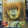 DK兒童動(dòng)物百科全書(shū) 精裝正版 動(dòng)物世界大全 小學(xué)生科普百科書(shū)籍 6-12歲野生動(dòng)物圖文科普 兒童自然啟蒙讀物  曬單實(shí)拍圖