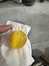 耕果妙30枚溏心雞蛋變蛋黃金變蛋3斤河南特產(chǎn)雞蛋皮蛋 源頭直發(fā) 包郵 曬單實(shí)拍圖