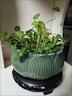 銅錢(qián)草碗蓮水仙水培水養陶瓷花盆器皿蓮花造型中式禪意綠植盆 DA青釉蓮花【無(wú)孔】【中號】 曬單實(shí)拍圖