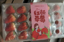 京鮮生 丹東紅顏奶油草莓 3斤禮盒裝 60-72顆 單果18g+ 新鮮水果禮盒 曬單實(shí)拍圖