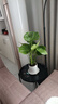 龜背竹客廳大盆栽老樁植物辦公室大型綠植室內水培高級感網(wǎng)紅落地 [桌面精品]龜背竹3珠60-70cm（圓陶瓷盆） 含盆 曬單實(shí)拍圖