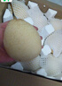 河北鴨梨新鮮10斤應當季水果現摘正宗水晶酥白梨雪梨整箱包郵梨子 凈重5斤精選大果 曬單實(shí)拍圖