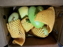 京鮮生海南金煌芒果 凈重8斤 單果400g+ 新鮮水果 源頭直發(fā) 曬單實(shí)拍圖