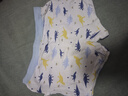 俞兆林兒童內褲男童不夾屁屁中大童平角短褲男孩寶寶小童四角褲純棉底褲 曬單實(shí)拍圖