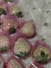 魯禧山東淡雪白草莓【空運】奶油草莓水果禮盒送禮送女朋友 年貨水果 【山東淡雪白草莓250g/盒】20粒裝（中果） 曬單實(shí)拍圖