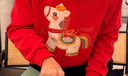 班尼路（Baleno）本命年紅色衛衣男女款2026年新款生肖馬年本命年衣服喜慶長(cháng)袖上衣 曬單實(shí)拍圖