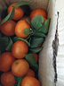 整箱正宗廣西砂糖橘新鮮當季水果沙糖桔橘子薄皮少籽多汁砂糖桔 砂糖橘帶箱2斤 曬單實(shí)拍圖