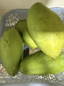 甜萌果蔬金煌芒芒果【多地次日達】當季現摘海南大芒果新鮮水果青芒果整箱 3斤優(yōu)選果【單果300g+】?jì)?.5斤 曬單實(shí)拍圖