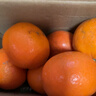 甄選四川愛(ài)媛38號果凍橙 新鮮生鮮水果 橙子橘子 現摘現發(fā)好品質(zhì) 甄選帶箱2斤裝【嘗鮮版】?jì)糁?.6斤 果徑60mm-70mm 曬單實(shí)拍圖
