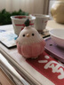 木易Mui紫砂蒜頭小鳥(niǎo)創(chuàng  )意治愈桌面擺件裝飾蒜鳥(niǎo)節日生日禮物茶寵工藝品 【蒜鳥(niǎo)】簡(jiǎn)裝 曬單實(shí)拍圖