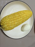 海南新鮮水果玉米生吃甜玉米減脂蔬菜沙拉輕食買(mǎi)菜超市京東包郵 新鮮水果玉米5斤 含箱 曬單實(shí)拍圖