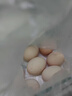 鳳補正宗泰和烏雞蛋禮盒30枚農家散養烏骨雞有機富硒土雞蛋女神要吃肉 30枚/當日鮮蛋【禮盒裝】 曬單實(shí)拍圖