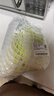 黃心小娃娃菜約600g 曬單實(shí)拍圖