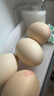 天珍牧場(chǎng)大碼谷糧蛋鮮雞蛋 生鮮蛋類(lèi) 無(wú)抗2.4斤（20枚）節日禮盒 源頭直發(fā) 曬單實(shí)拍圖