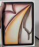 Apple/蘋(píng)果 iPad Air 11英寸 M3芯片2025年款 平板電腦 (256GB WLAN版)星光色 曬單實(shí)拍圖