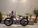 飛鴿兒童自行車(chē)6-10-17歲中大童減震碟剎單車(chē)青少年學(xué)生腳踏山地車(chē) 熒光紫【變速】+減震碟剎+輻條輪 20寸【身高130-150cm】約7-11歲 曬單實(shí)拍圖