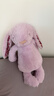 Jellycat花布瑟紫珀邦尼兔包包掛飾毛絨玩具掛件新品情三八節女神生日禮物 花布瑟紫珀邦尼兔包包掛飾 One Size 曬單實(shí)拍圖