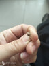 s999純銀圓珠耳釘螺絲雙頭豆豆耳環(huán)養耳洞防堵免摘耳骨釘足銀耳飾 【彎鉤款】4mm純銀圓珠耳釘一對 曬單實(shí)拍圖
