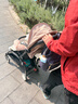 Stokke【楊佑寧同款】YOYO3 6+ 全能型推車(chē)折疊遛娃輕便嬰兒車(chē)可坐可躺 【YOYO3 6+】+卡其色坐墊 黑色車(chē)架 曬單實(shí)拍圖