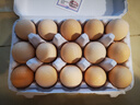 七鮮【無(wú)抗】可生食鮮雞蛋15枚750g 曬單實(shí)拍圖