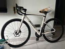 喜德盛公路自行車(chē)AD300油碟UCI車(chē)架2x10速中空一體牙盤(pán)桶軸破風(fēng)車(chē) 白蛇 540mm（適合身高175-185cm） 曬單實(shí)拍圖