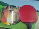 拍里奧（Palio）套膠皮 藍海綿CJ8000輕快型專(zhuān)業(yè)版乒乓球拍膠皮反膠 紅色39-41度 曬單實(shí)拍圖