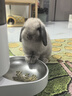 霍曼（Homerun）Real智能自動(dòng)喂食器貓糧定時(shí)貓貓咪自動(dòng)投食機PF20（不銹鋼碗） 曬單實(shí)拍圖