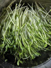 綠食者 新鮮豌豆苗 璇蔓豆苗芽菜豌豆尖蔬菜炒菜白灼煲湯火鍋擺盤(pán)裝飾 250g 曬單實(shí)拍圖