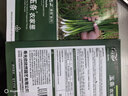 壽禾小香蔥種子種苗四季家庭種植蔬菜種籽 濰育玉條農家蔥種子2000粒 曬單實(shí)拍圖