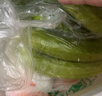 京鮮生 山東海陽(yáng)白玉黃瓜2斤裝 小黃瓜旱黃瓜 新鮮應當季蔬菜 源頭直發(fā) 曬單實(shí)拍圖