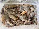 鮮活急凍白蝦鹽凍對蝦冷凍青島大蝦4050 鹽凍青島大蝦 1000g(凈重)  /袋 曬單實(shí)拍圖