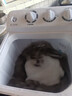 小鴨洗衣機半自動(dòng)雙桶雙缸家用大容量小型租房宿舍波輪脫水甩干兩用雙杠省電老式強動(dòng)力易操作以舊換新 18.5公斤 雙缸 洗12+脫6.5 強勁電機終身聯(lián)保 曬單實(shí)拍圖