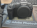 佳能Canon/R62 Mark II R8 RP 微單數碼相機二代4K旅游Vlog拍攝相機 EOS RP 單機 （全畫(huà)幅） 單機身+RF50mmF1.8小痰盂 曬單實(shí)拍圖