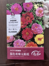 壽禾 重瓣太陽(yáng)花種子苗混色大花四季播花種籽 重瓣太陽(yáng)花種子約8000粒 曬單實(shí)拍圖