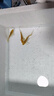 金魚(yú)活體觀(guān)賞魚(yú)錦鯉草金魚(yú)冷水魚(yú)黑金錦鯉黃金錦鯉白金錦鯉小型魚(yú) 6-8cm黃色3條 曬單實(shí)拍圖