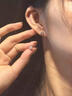 戚小米999足銀雪花耳釘女2025新款百搭純銀耳環(huán)輕奢高級感養耳洞耳飾品 【999足銀】雪花耳釘【直針款】 曬單實(shí)拍圖