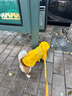 COCS狗狗雨衣中大型犬 寵物雨衣小狗雨衣 邊牧衣服狗狗沖鋒衣雨披全包 黃色 2XL號建議體重18-28斤 曬單實(shí)拍圖